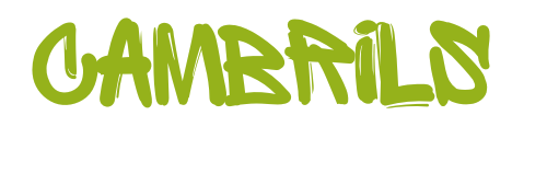 Festival Cambris